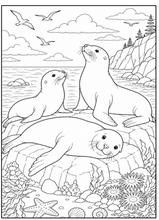 Load image into Gallery viewer, Treasures Of The Ocean Coloring Book