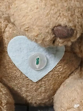 Lataa kuva Galleria-katseluun, Teddy Bear Pal plush toy