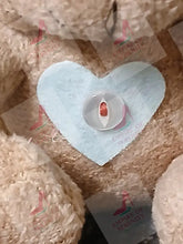 Load image into Gallery viewer, Teddy Bear Pal plush toy