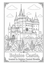 Cargar imagen en el visor de la galería, Legendary Castles Coloring Book
