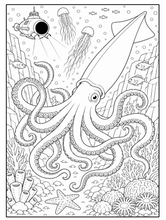 Load image into Gallery viewer, Treasures Of The Ocean Coloring Book
