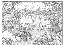 Load image into Gallery viewer, Roar And Explore: A Jungle Animals Coloring Book
