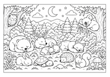 Lataa kuva Galleria-katseluun, Forest Friends Adventures Coloring Book
