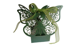 Lataa kuva Galleria-katseluun, The Brave Fairy&#39;s Wish (Forest Green Butterfly Box)
