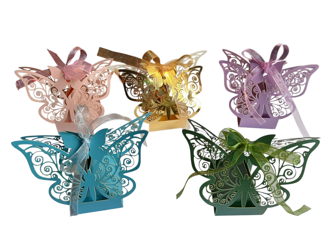 The Brave Fairy's Wish (Pink Butterfly Box)